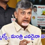 Chandrababu Naidu: ఎవరైనా సరే.. ఎమ్మెల్యే లకు చంద్రబాబు వార్నింగ్