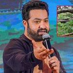 Mulugu Forest: ఎన్టీఆర్ చెప్పిందే.. ములుగు జిల్లాలో జరిగిందా?