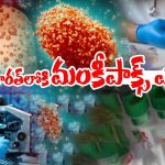 Monkeypox Case in India: ఇండియాలోకి మంకీపాక్స్ ఎంట్రీ.. తొలి కేసు ఎక్కడంటే..?