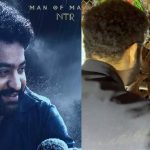 Devara : హద్దులు దాటిన అభిమానం… దేవర కోసం టోక్యో నుంచి లాస్ ఎంజిల్స్ కు వచ్చిన డై హార్డ్ ఫ్యాన్