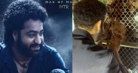 Devara : హద్దులు దాటిన అభిమానం... దేవర కోసం టోక్యో నుంచి లాస్ ఎంజిల్స్ కు వచ్చిన డై హార్డ్ ఫ్యాన్