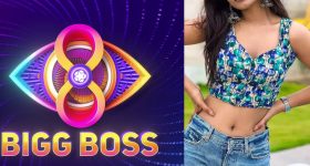 Bigg Boss 8 Telugu : బిగ్ బాస్ హౌస్ లోకి హాట్ బ్యూటీ.. మాస్టర్ ప్లాన్ అదిరిపోయిందిగా..