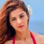 Vedhika : సినిమాలకు బాగా గ్యాప్ ఇచ్చింది.. ఇప్పుడు భయపెట్టేందుకు సిద్ధం చేసుకుంటోంది వేదిక