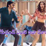Viswam: ‘విశ్వం’ నుంచి సాంగ్ రిలీజ్.. బీట్ భలే కొత్తగా ఉందే
