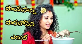 Trinayani Serial Today Episode: పాయసంలో విషం పెట్టి గాయత్రిని చంపాలనుకున్న తిలోత్తమ్మ.. ఎలుక ఏం చేసిందటే..!
