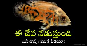 Brs Game Plan : హైడ్రాతో పబ్బం గడిపేద్దాం.. బీఆర్ఎస్ స్ట్రాటజీ ఇదేనా? అప్పుడు వదిలేసి.. ఇప్పుడు మొసలి కన్నీరేలా?
