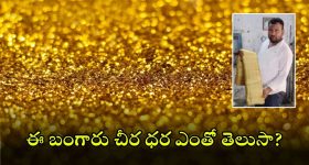 TTD Ex Chairman: చంద్రబాబుపై శివాలెత్తిన భూమన.. అబద్దాలకు బ్రాండ్ అంబాసిడర్ అంటూ ఫైర్