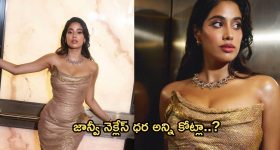 Janvi Kapoor : ఐఫాలో మెరిసిన ఎన్టీఆర్ బ్యూటీ.. ఆమె ధరించిన నెక్లేస్ ధర అన్ని కోట్లా?