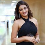 Hari Hara VeeraMallu : పవన్ కరుణించాడు… మొత్తానికి నిధి కల నెరవేరింది..