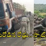 Road Accident: ఏపీలో నెత్తురోడిన రహదారులు..ఘోర రోడ్డు ప్రమాదాల్లో ఏడుగురు స్పాట్ డెడ్