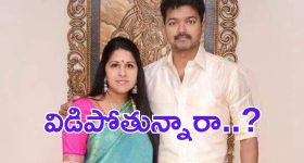 Actor Vijay: కోలీవుడ్ హీరో విజయ్ విడాకులు.. ?
