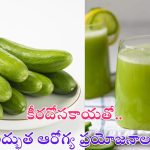 Cucumber Benefits: కీరదోసకాయ తింటున్నారా ? అయితే ఈ విషయాలు తప్పక తెలుసుకోండి