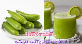 Cucumber Benefits: కీరదోసకాయ తింటున్నారా ? అయితే ఈ విషయాలు తప్పక తెలుసుకోండి