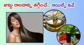 Homemade Hair Oils: జుట్టు రాలడాన్ని తగ్గించే.. హెయిర్ ఆయిల్స్ ఇవే