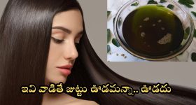 Hair Growth Tips: ఇవి వాడితే చాలు జుట్టు ఊడమన్నా.. ఊడదు