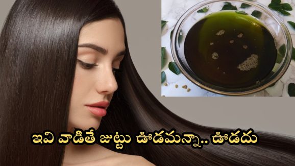 Hair Growth Tips: ఇవి వాడితే చాలు జుట్టు ఊడమన్నా.. ఊడదు