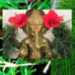 Durva grass: వినాయకుడి పూజలో సమర్పించే గరిక గడ్డి ప్రయోజనాలు తెలిస్తే షాక్ అవుతారు..