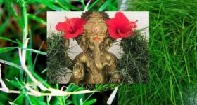 Durva grass: వినాయకుడి పూజలో సమర్పించే గరిక గడ్డి ప్రయోజనాలు తెలిస్తే షాక్ అవుతారు..