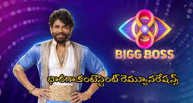 Bigg Boss 8 Telugu: బిగ్ బాస్ సీజన్ 8లో కంటెస్టెంట్స్ రెమ్యూనరేషన్ ఎంతో తెలుసా? ఆ హాట్ బ్యూటీకే హయ్యెస్ట్!