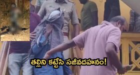 Bigg Boss 8 Day 29 Promo 1: నామినేషన్ రచ్చ షురూ.. బాడీ షేమింగ్ కామెంట్ తో ఫైర్..!