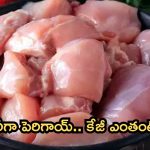 Chicken Rates: మాంసం ప్రియులకు బ్యాడ్ న్యూస్.. భారీగా పెరిగిన చికెన్ ధరలు!