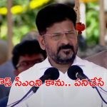 Telangana Vimochana Dinotsavam : ఢిల్లీ బంగ్లాదేశ్‌లో లేదు.. ఎన్నిసార్లైనా వెళ్తా: బీఆర్ఎస్‌‌కు సీఎం రేవంత్ కౌంటర్