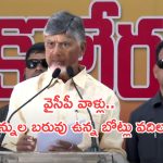 CM Chandrababu: ప్రకాశం బ్యారేజీ కూల్చేందుకు కుట్ర..  బోట్లు వదిలింది వైసీపీ వాళ్లే.. చంద్రబాబు