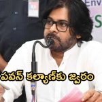 AP Deputy CM: పవన్ కల్యాణ్‌కు వైరల్ ఫీవర్.. కీలక ఆదేశాలు