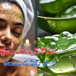 Aloe Vera Face Pack: అందంగా కనిపించాలా..? అయితే ఈ ఫేస్ ప్యాక్స్ మీ కోసమే !
