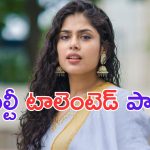 Faria Abdullah: మన చిట్టిలో ఇంత టాలెంట్ ఉందా.. అదిరిపోయింది బంగారం