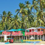Telangana Tourism: గోవా వెళ్లాలనుకునే వారికి అదిరిపోయే ఆఫర్.. తక్కువ ధరకే!