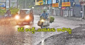 Patanjali: రాందేవ్ బాబాకు మరో దెబ్బ.. పతంజలి ప్రాడక్ట్‌లో చేప అవశేషాలు?.. కోర్టు నోటీసులు