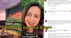 Bengaluru North Indians Instagram: 'నార్త్ ఇండియన్స్ లేకపోతే బెంగుళూరు ఖాళీనే'.. ఇన్‌స్టాగ్రామ్ రీల్స్ పై వివాదం