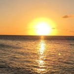 Morning Astro Tips: సూర్యోదయం సమయంలో సూర్యభగవానుడిని ఇలా పూజిస్తే రోజంతా శుభవార్తలే వింటారు