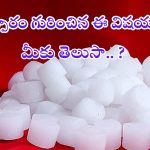 Camphor Benefits: కర్పూరం గురించిన ఈ విషయాలు మీకు తెలుసా ?