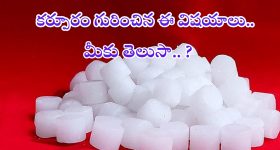 Camphor Benefits: కర్పూరం గురించిన ఈ విషయాలు మీకు తెలుసా ?
