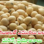 Soybeans Benefits: ఈ గింజలతో ఎముకలకు బలం !