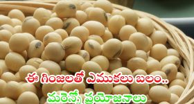 Soybeans Benefits: ఈ గింజలతో ఎముకలకు బలం !