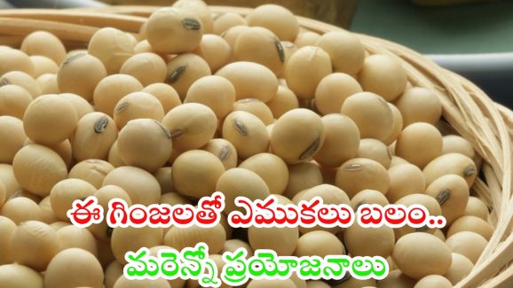 Soybeans Benefits: ఈ గింజలతో ఎముకలకు బలం !