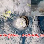 Earthquake Japan: జపాన్‌లో భారీ భూకంపం.. రిక్టర్ స్కేలుపై 5.9 తీవ్రత.. సునామీ హెచ్చరికలు!