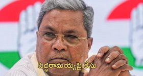 Acne and Garlic: పచ్చి వెల్లుల్లిని ముఖంపై ఉన్న మొటిమలపై రుద్దితే అవి తగ్గిపోతాయా?