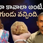 Satyam Sundaram Movie : పాపం కార్తీ… లడ్డూ చూపించి గుండు కొట్టించింది…