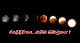 Pragya Jaiswal: వెనక్కి తగ్గని బాలయ్య బ్యూటీ.. ప్రగ్యా‌జైస్వాల్‌లో మరో కోణం..