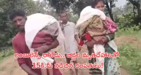 Maharashtra: హృదయ విదారక ఘటన.. భుజాలపై ఇద్దరు పిల్లల మృతదేహాలతో 15 కి.మీలు నడిచిన తల్లిదండ్రులు