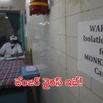 Monkeypox Virus: డేంజర్ బెల్స్.. మరో మంకీపాక్స్‌ కేసు.. ఎమర్జెనీకి దారితీసిన వైరస్ ఇదే!