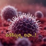 Nipah virus: కేరళలో నిఫా వైరస్ విజృంభణ.. స్టూడెంట్ మృతి.. రాష్ట్రంలో ఆంక్షలు!