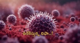 Sun Transit 2024: సూర్యుని సంచారంతో ఈ నెలలో ఏ రాశి వారికి లాభమో, ఎవరికి నష్టమో తెలుసా ?