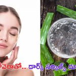 Aloe Vera For Dark Circles: అలోవెరాతో డార్క్ సర్కిల్స్ దూరం