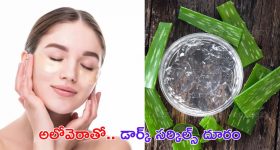 Johnny Master Case : మాస్టారు గారి లీలలు.. సపోర్ట్ చేసే వాళ్లు... వ్యతిరేకించే వాళ్ళు వీళ్ళే..