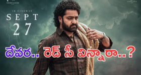 Devara: రెడ్ సీ.. ఏం సాంగ్ రా బాబు.. పోవడంలేదు మైండ్ లో నుంచి..